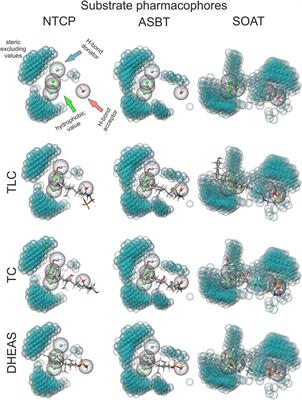 Substrate Specificities and Inhibition Pattern of the Solute Carrier Family 10 Members NTCP, ASBT and SOAT